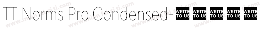 TT Norms Pro Condensed字体转换